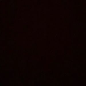 Meet your Posher, Chandler